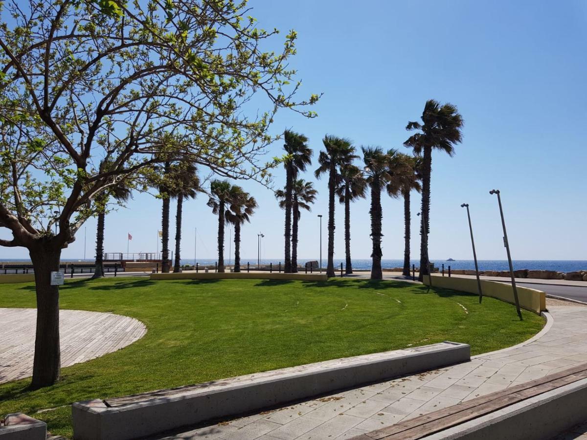 Silvia Degli Aregai Daire Santo Stefano al Mare Dış mekan fotoğraf